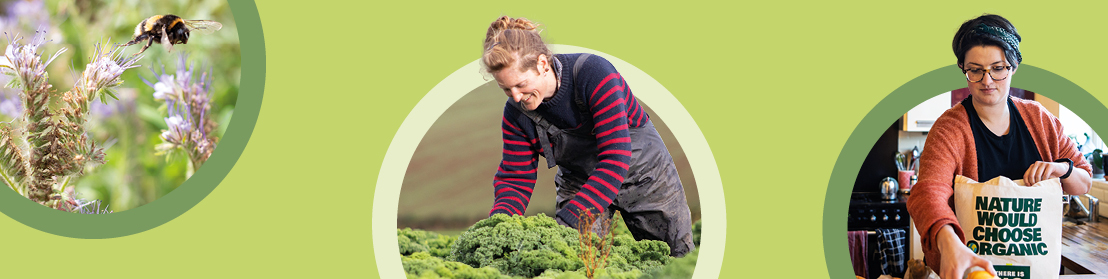 Organic Market Report