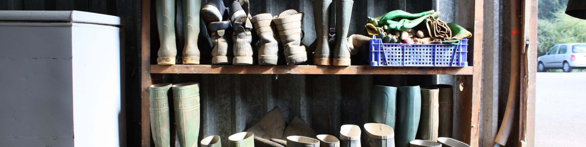 Wellies and shoes on rack