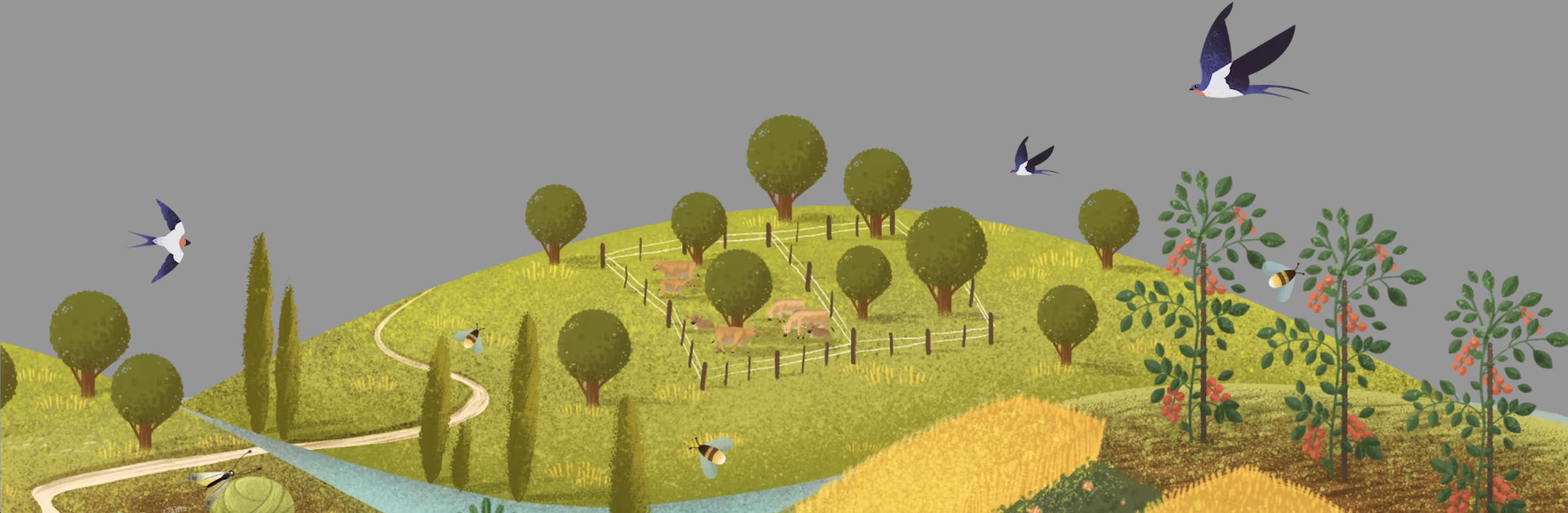 A circular challenge for food brands