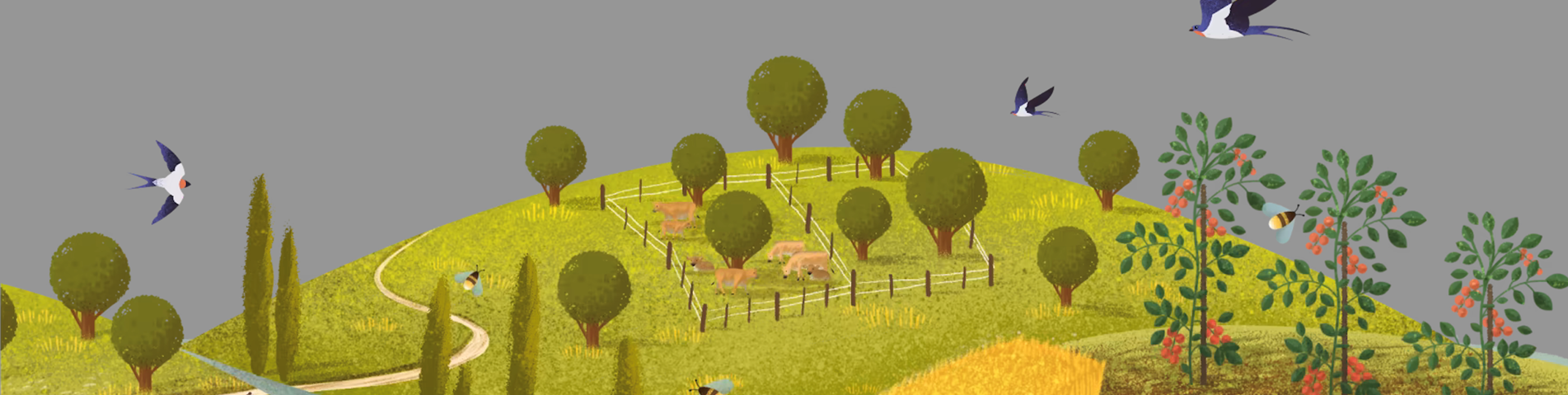 Big Food Challlenge.png