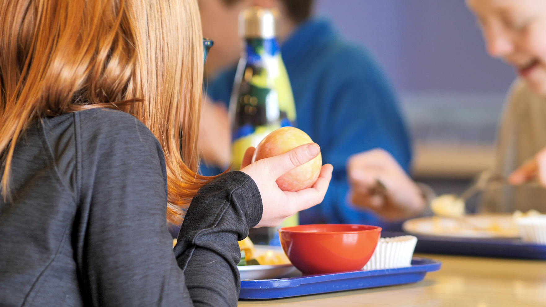 School meal with apple at Campie.jpg
