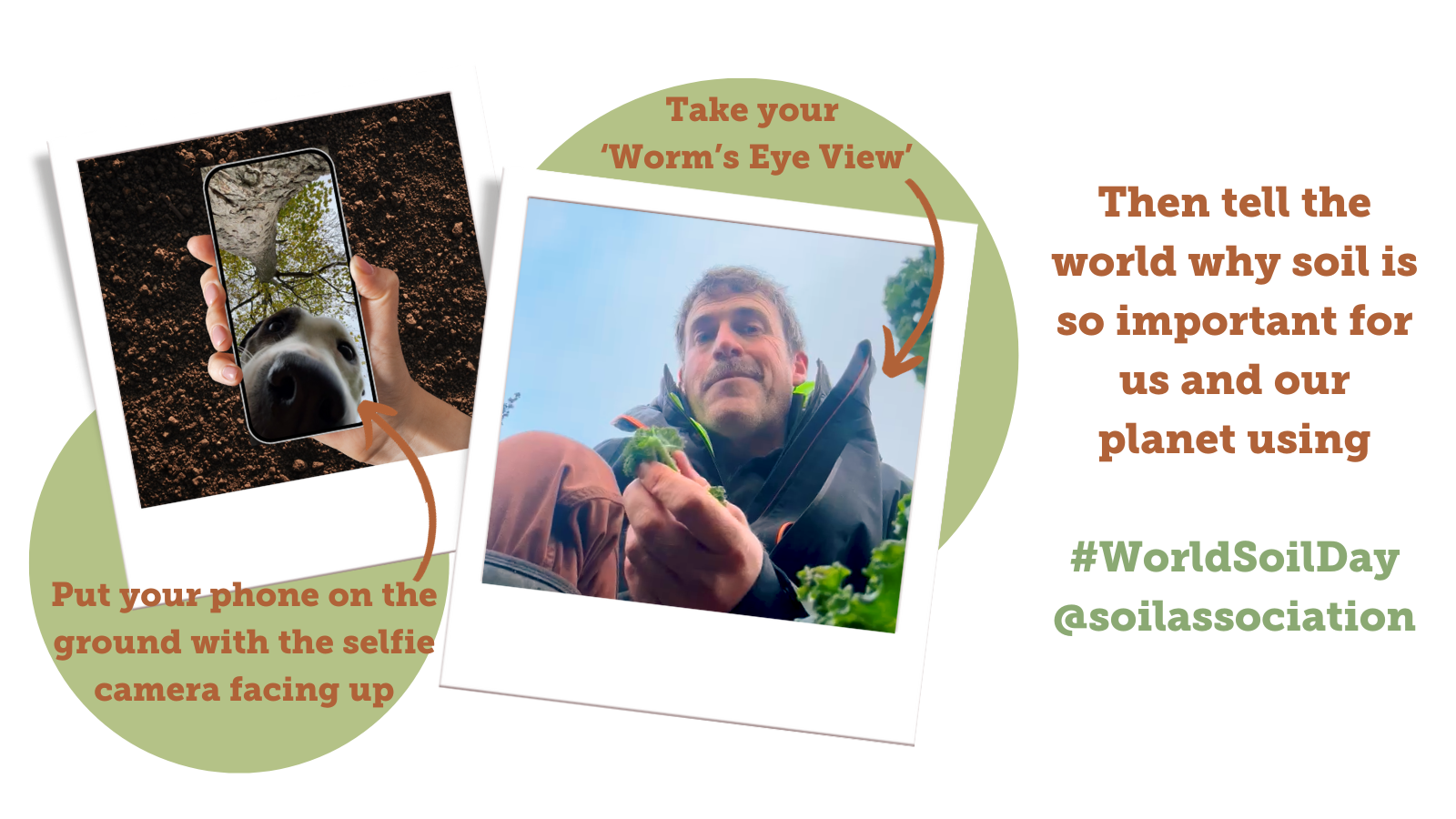 How to take your worm's eye view