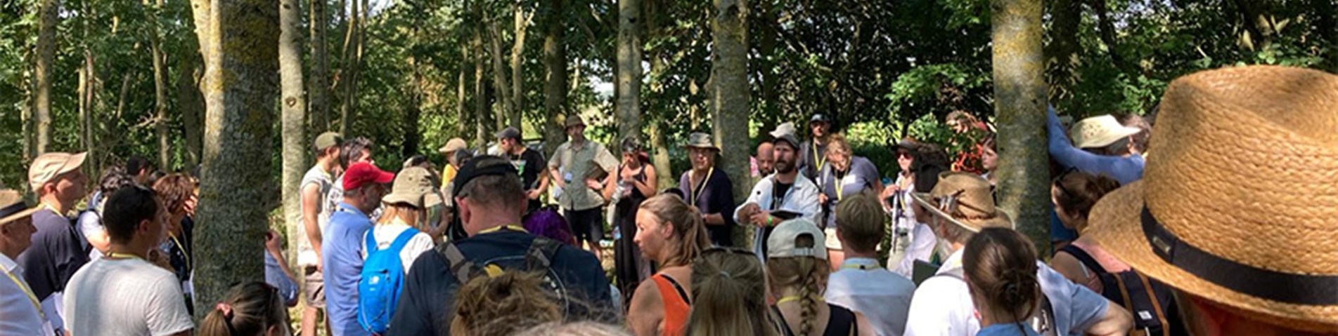 agroforestry show- banner pic.jpg