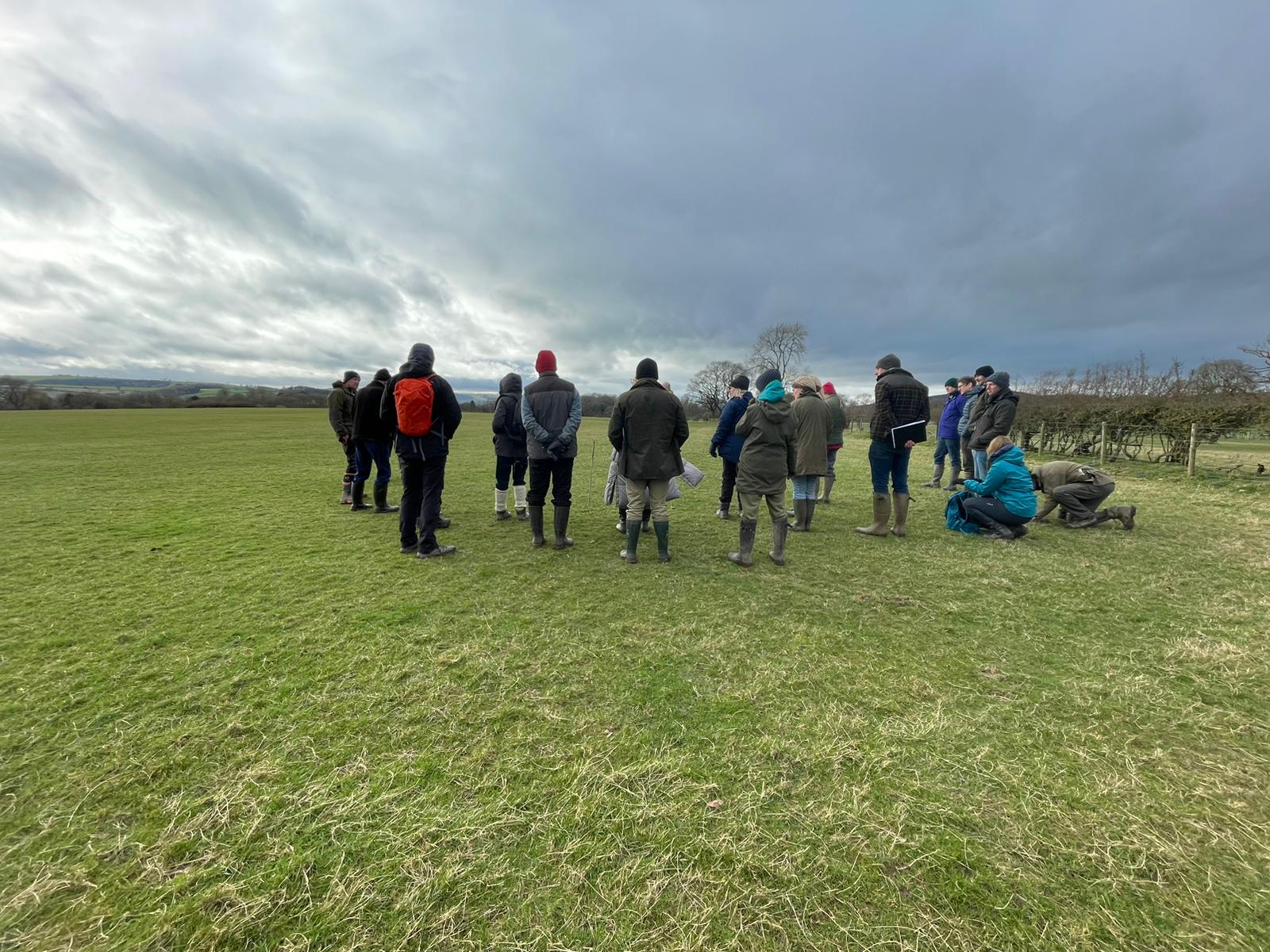 Enhancing biodiversity: managing species-rich grassland at Barns Farm, Shropshire