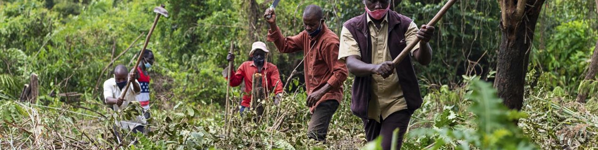 News-article-forestry-040424.jpg