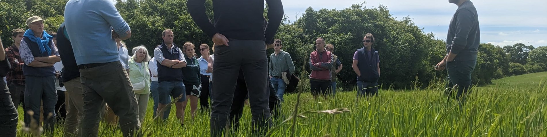 Soil-Assoc-Agroecology-Godminster June 24_barley.jpg
