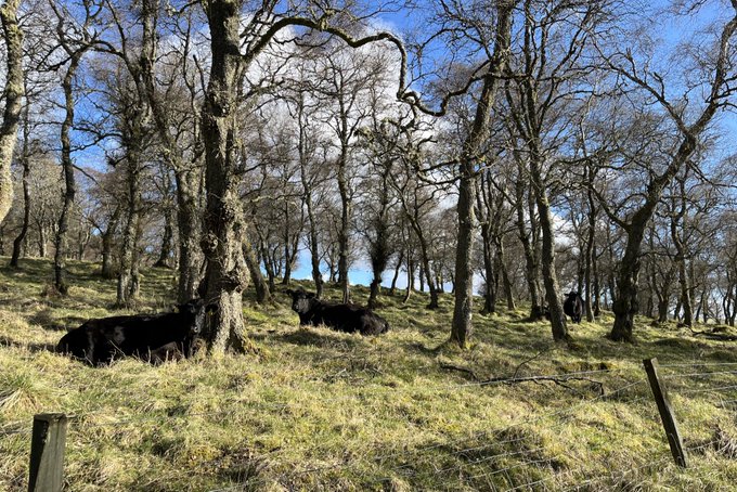 A pre-election Scottish Budget 