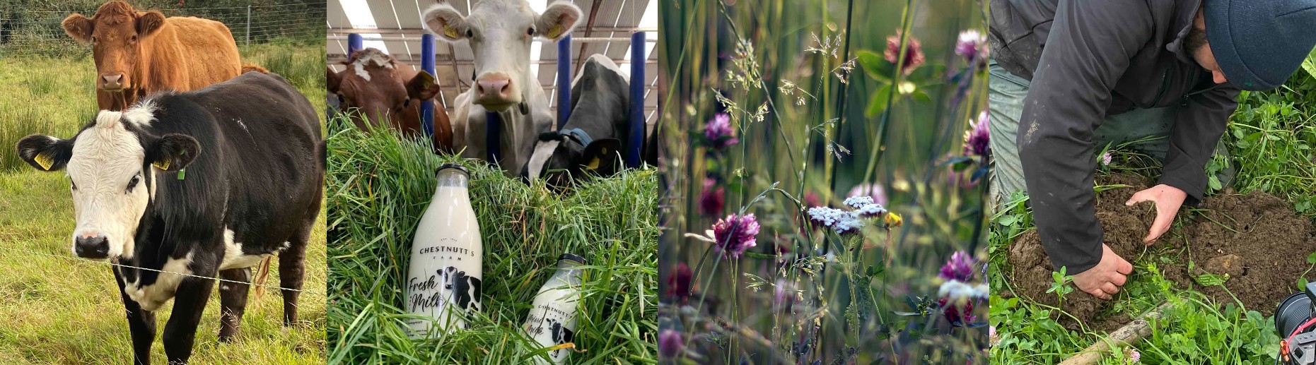 banner-FieldsGood24-from their website.jpg