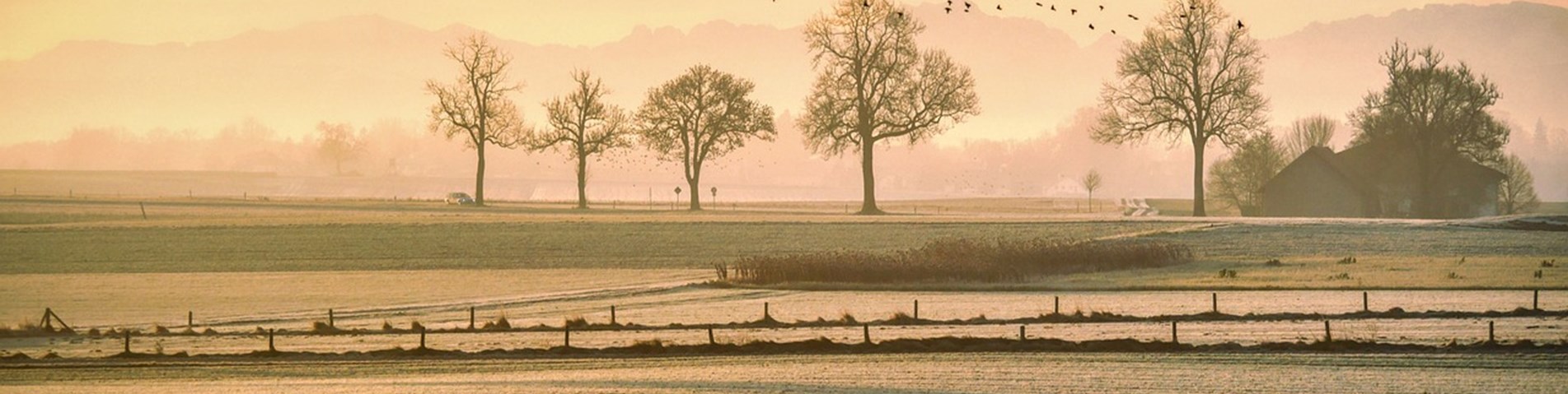 pasture-5861901_1280.jpg