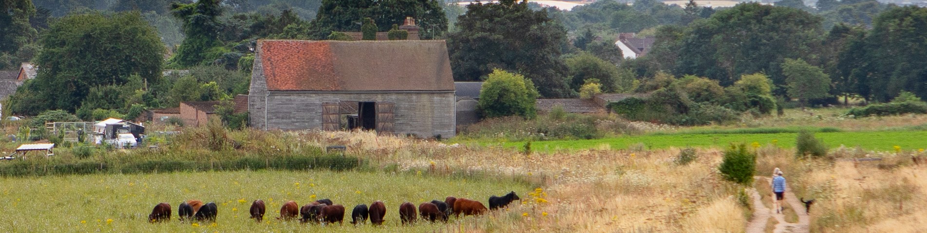 Woodoaks-Blackbarn.jpg