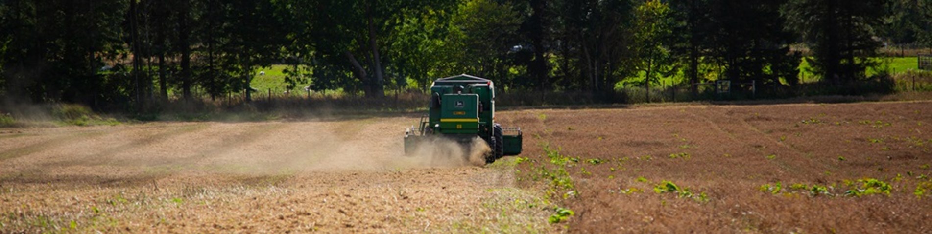 Combine harvester at Balmakewan Farm Sept 2024 web.jpg