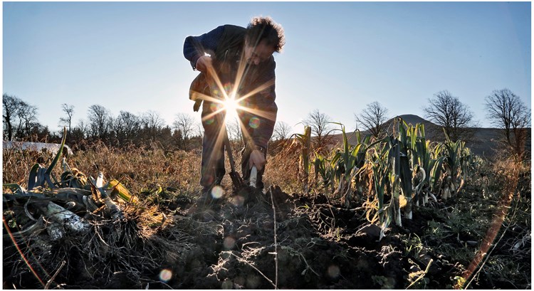 digging into soil with Sun in distance