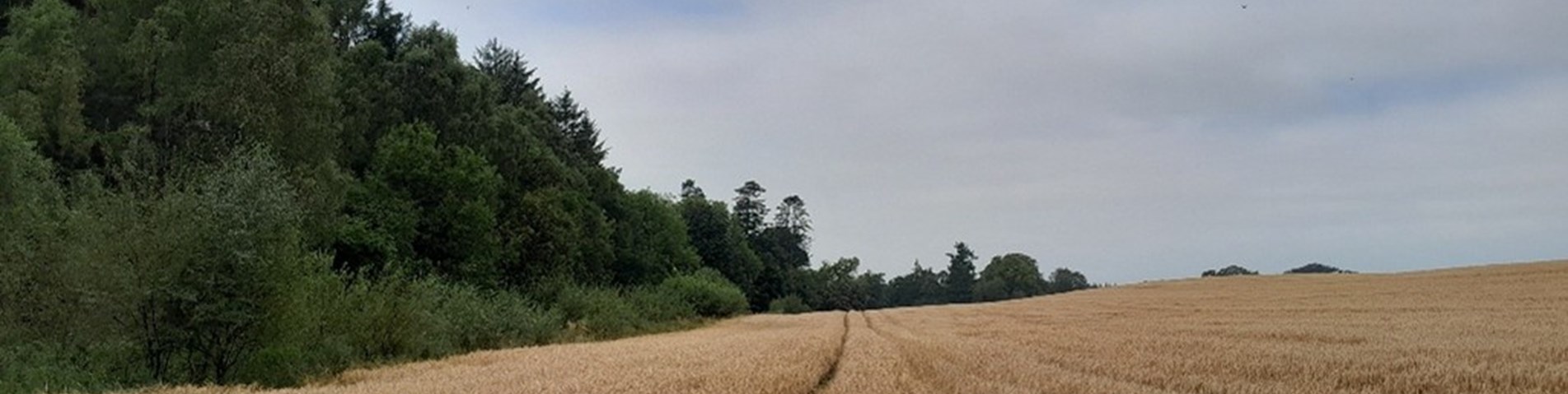 What is natural capital.jpg