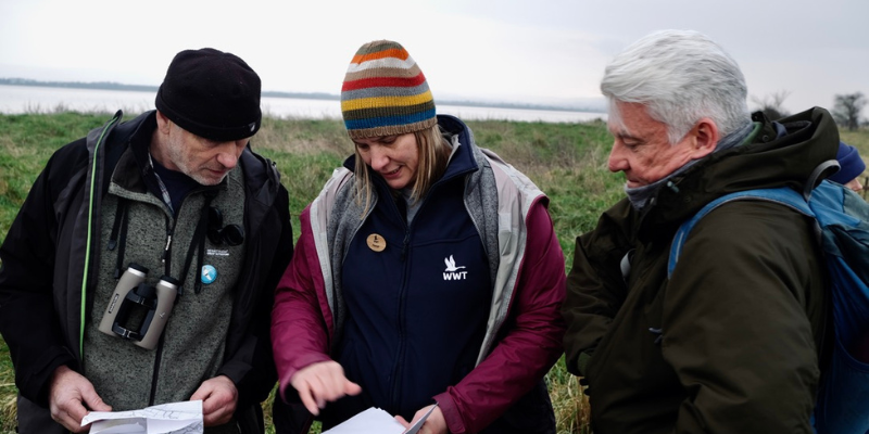 Pilot validation audit for Saltmarsh Carbon Code