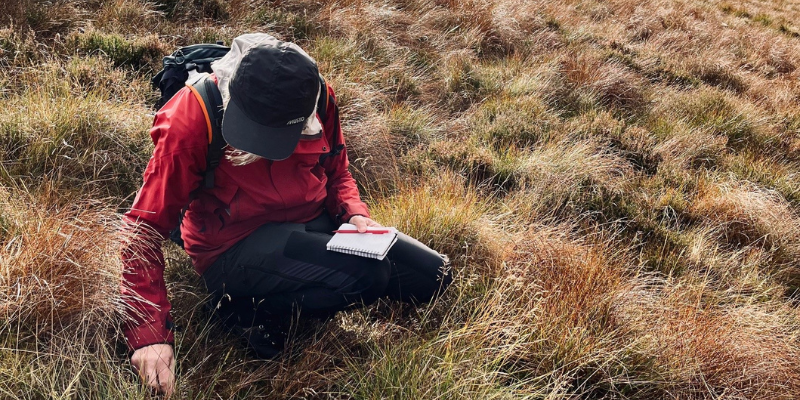 Piloting biodiversity auditing