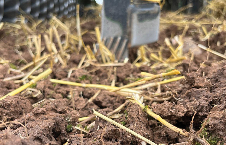 Strip till planting into wheat stubble, Field Hall Farm, Staffs