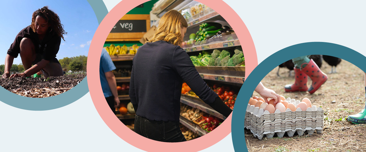 SAOTC25 Web Banner 1200x500 72dpi12.jpg