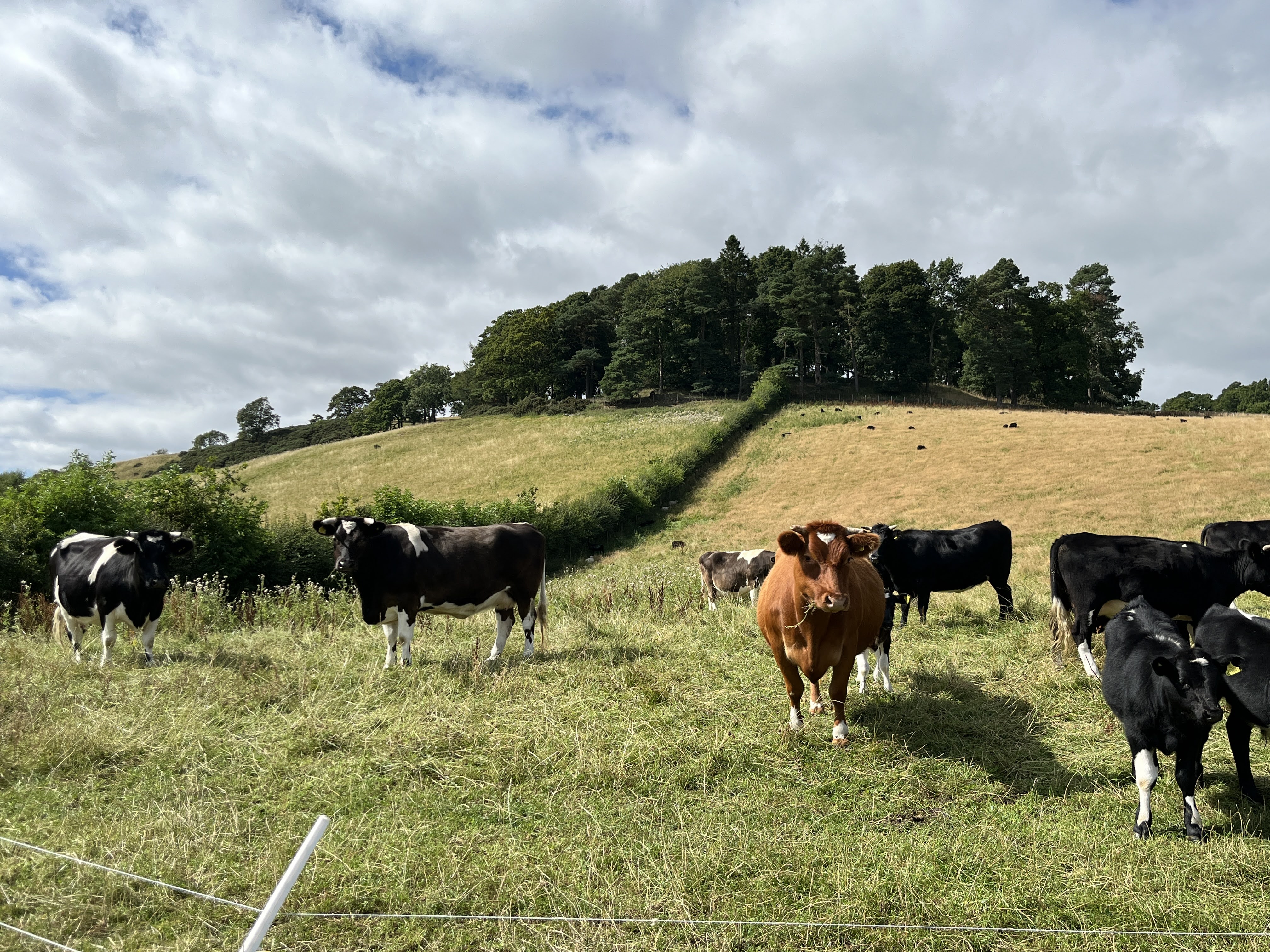 Review of the Year 2025