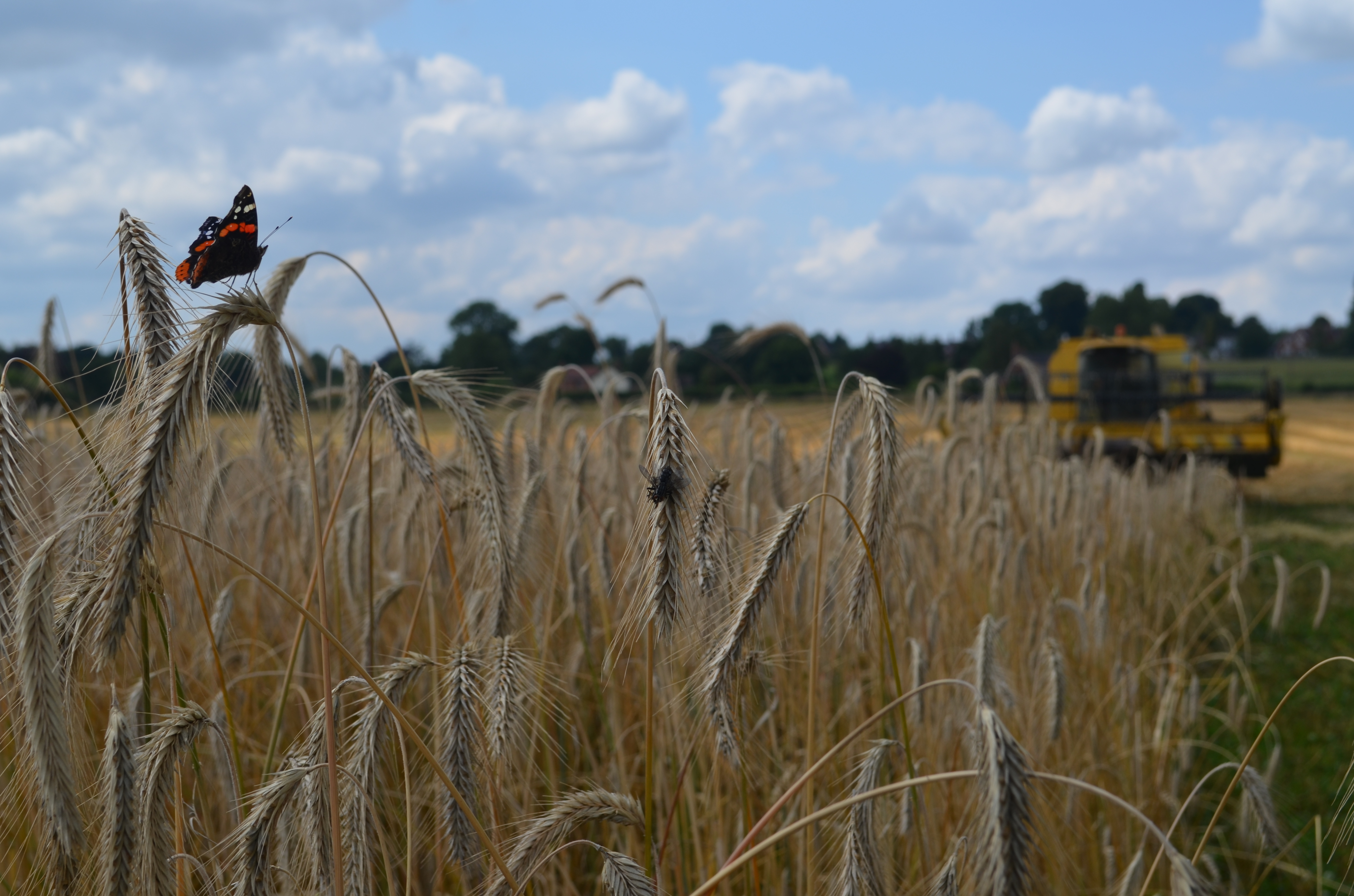 No drought about it: Farming agroecologically for climate resilience