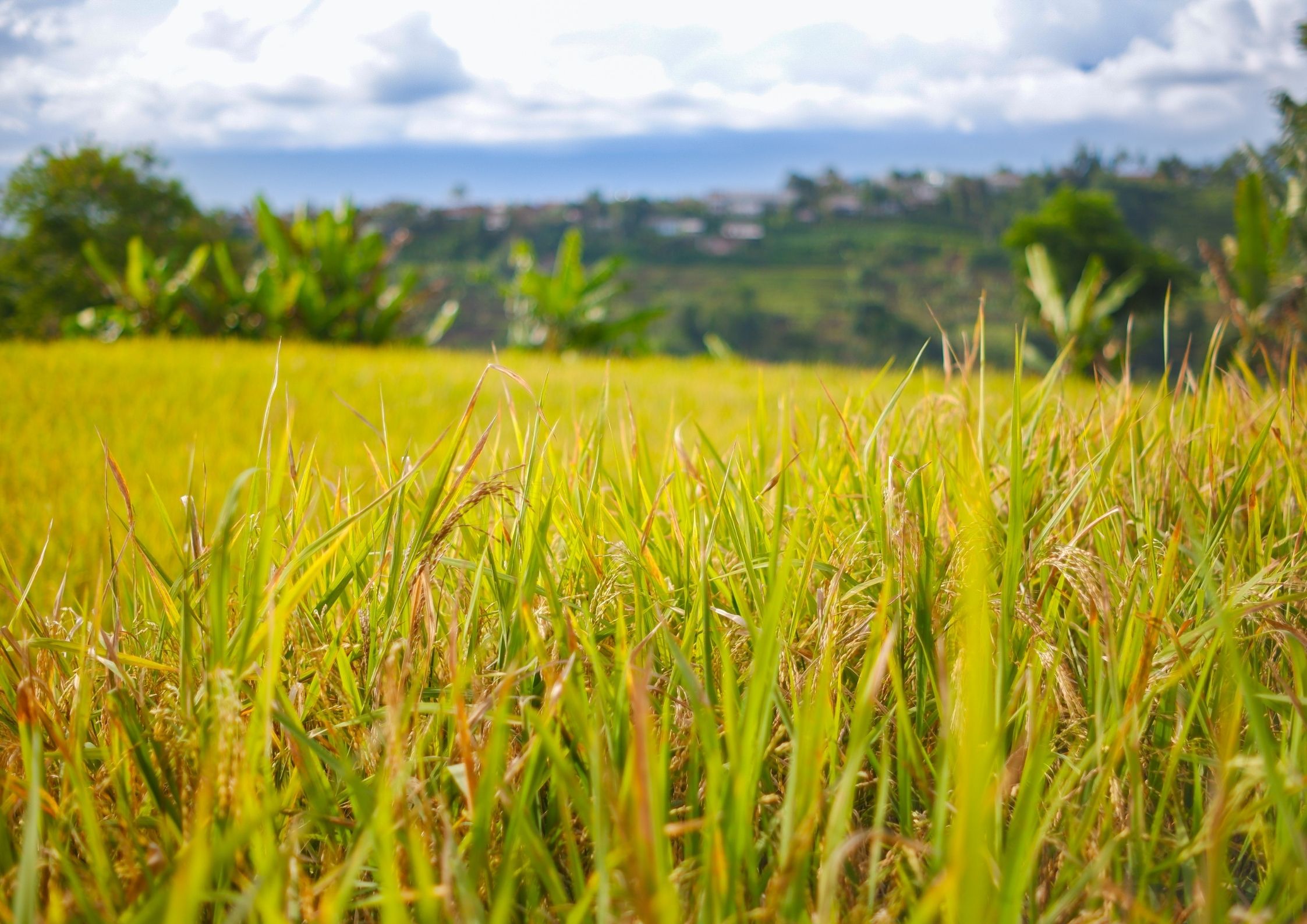 England's first-ever Land Use Framework must prioritise nature-friendly farming