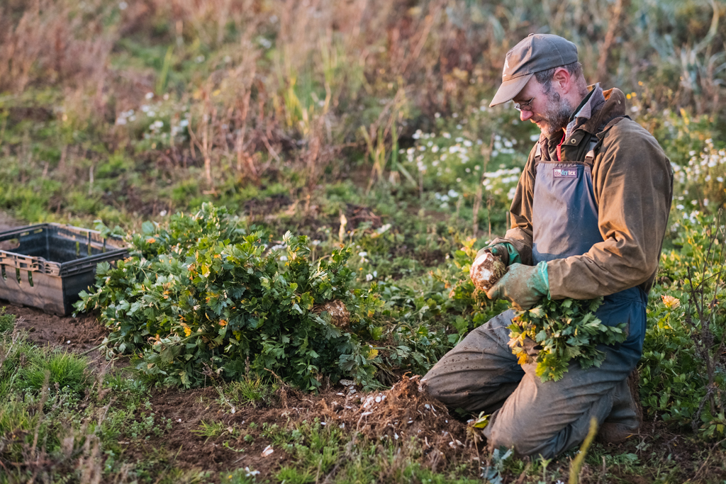 Celebrating our 80th birthday
