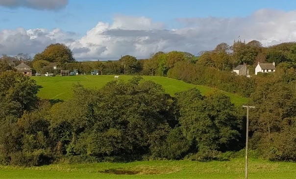hedgerows-at-tregooden-fa