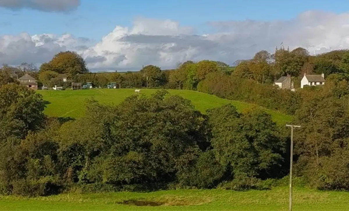 hedgerows-at-tregooden-fa
