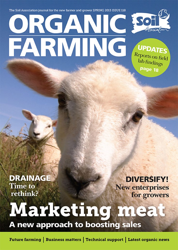 Cover of Spring 2015