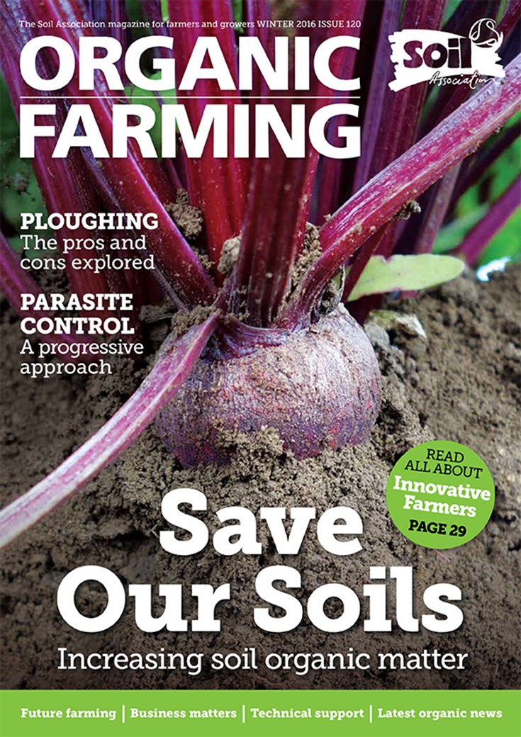 Cover of Winter 2016
