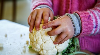 Creating Healthier Schools and Nurseries