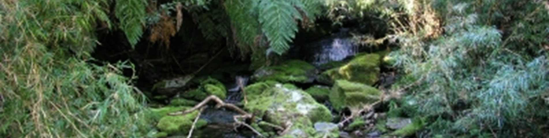 2004-08-19-23943.jpg
