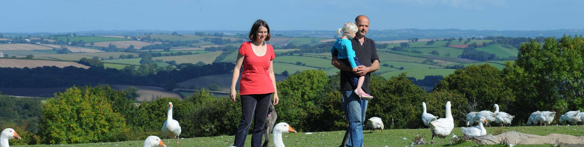 Summerhill Farm,Devon-26 Sep 2015-342.jpg