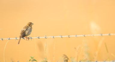 DSC_9857.jpg