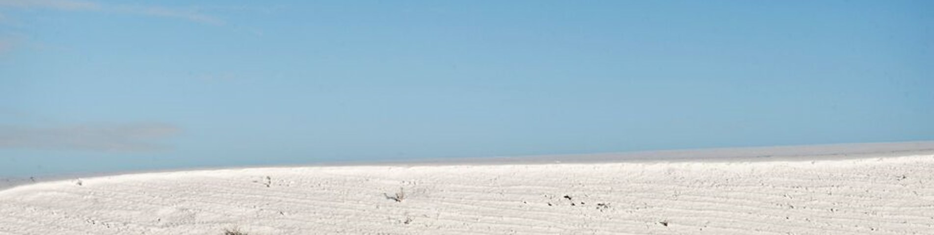 snow landscape.jpg