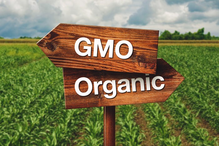 GMO vs Organic