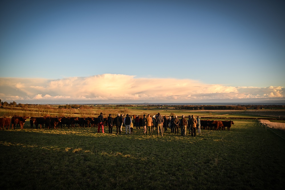 Scottish Organic Gathering 166.jpg