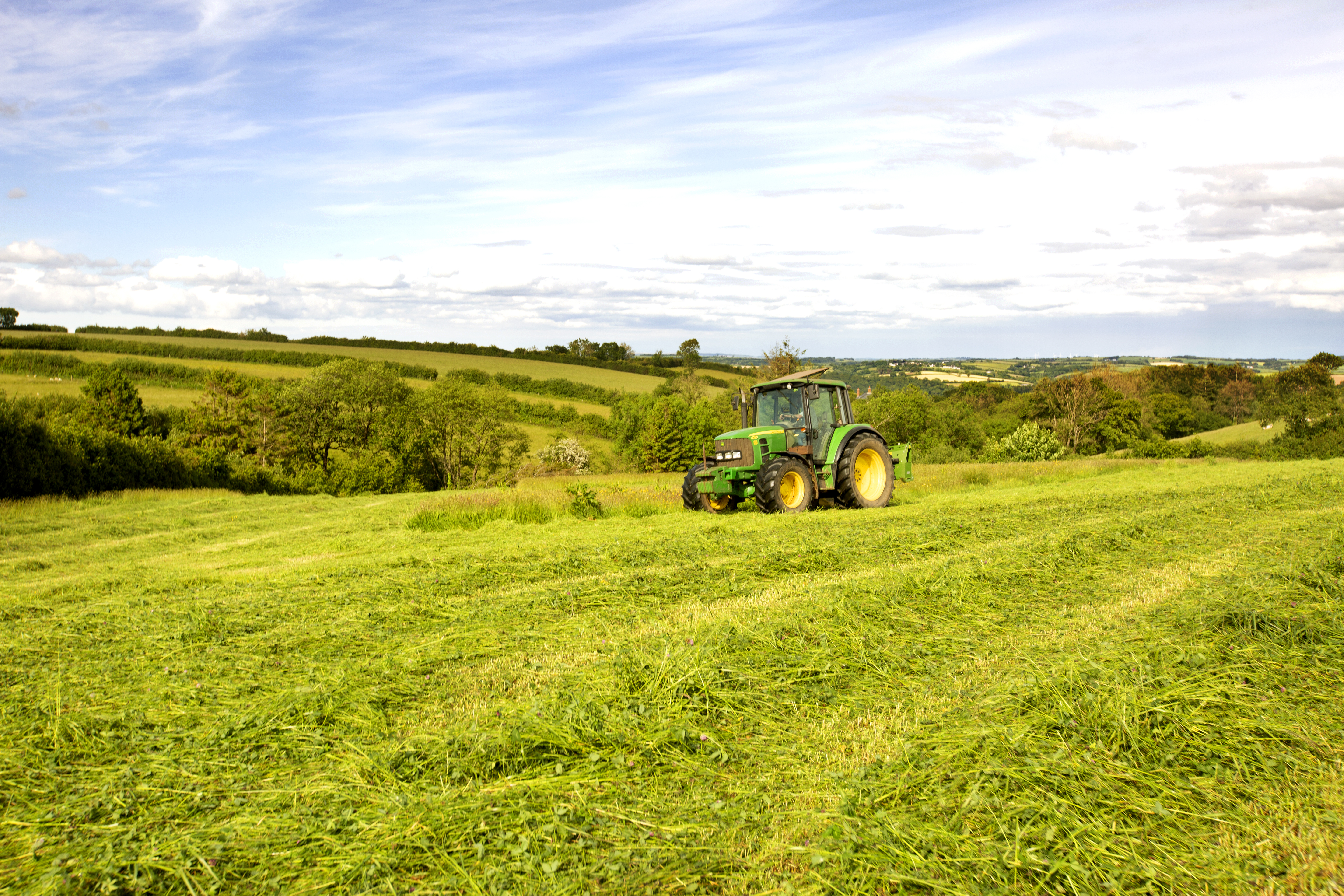 1G9A8539-SILAGECUTTING-ORGANIC-FOWLESCOMBELICENSEE-NOEXPIRY-NOCREDITREQUIRED.jpg