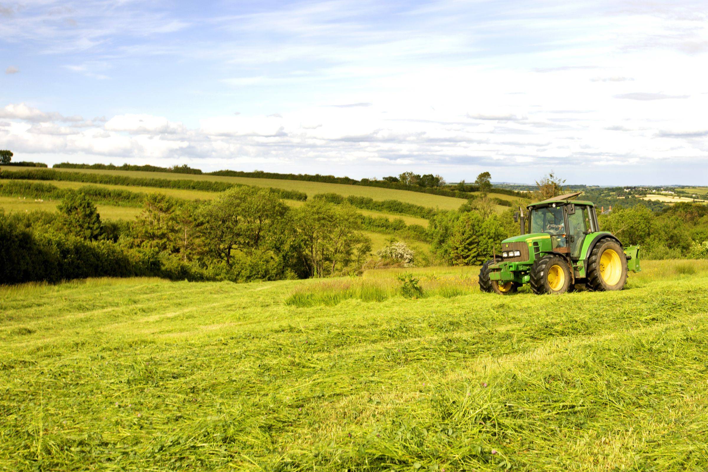 A tractor cutting grass for silage