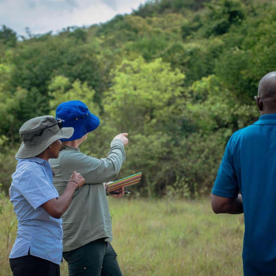Five people gathered near a woodland, pointing at the trees as if in discussion about them