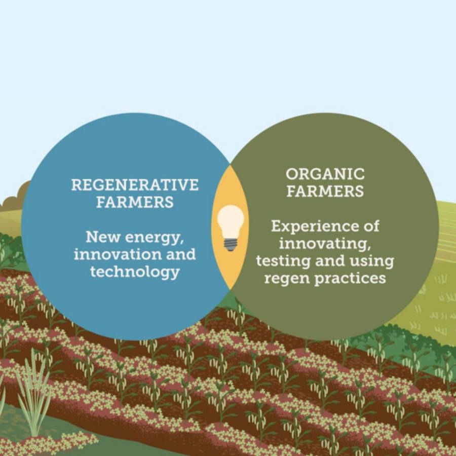 Infographic showing various aspects of caring for soil and managing weeds