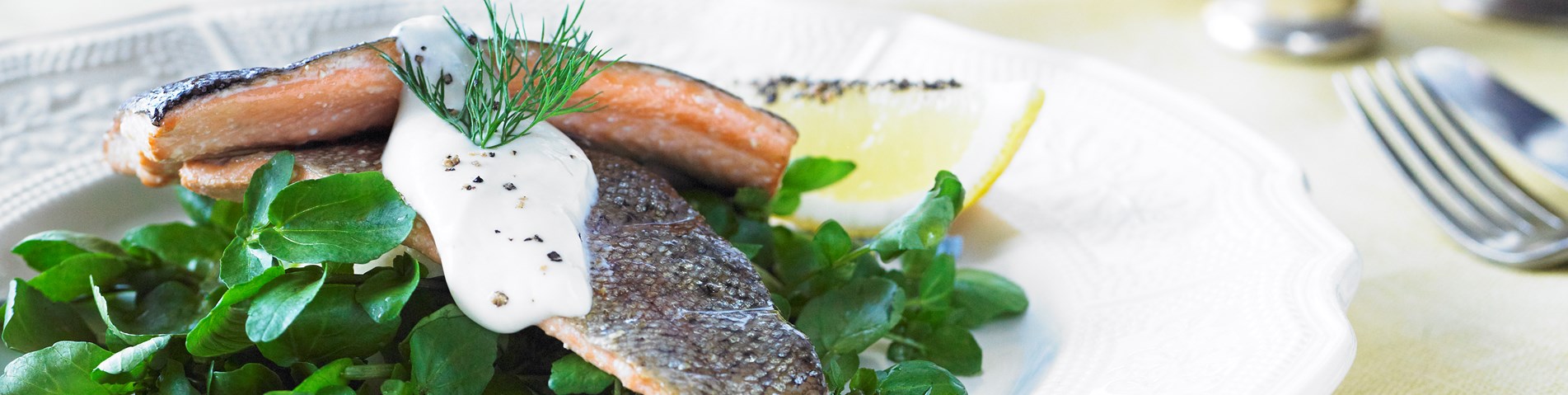YF5229_ND_LS_TEASMOKEDTROUT_140812_MAIN_ret.jpg