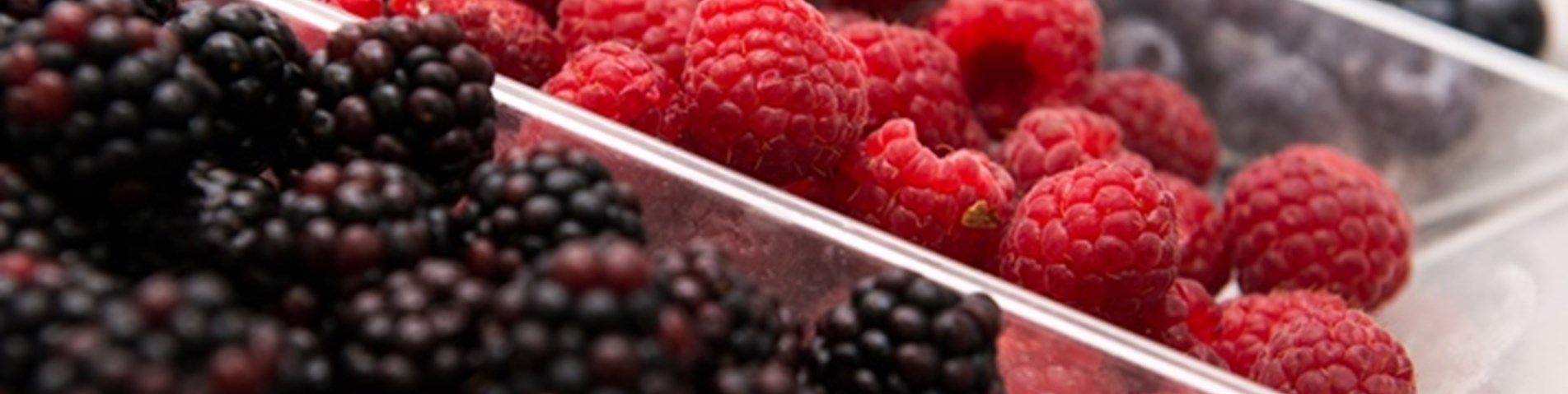 berries.jpg