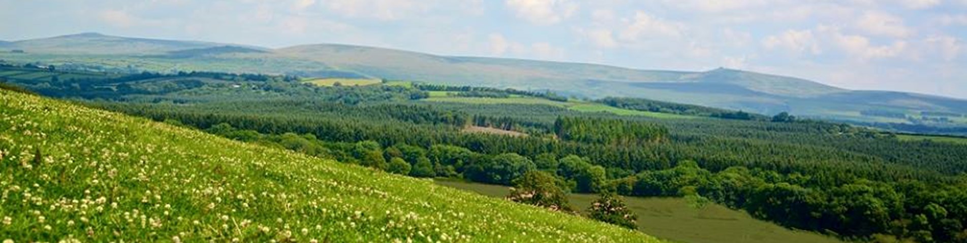 eversfield_banner2.jpg