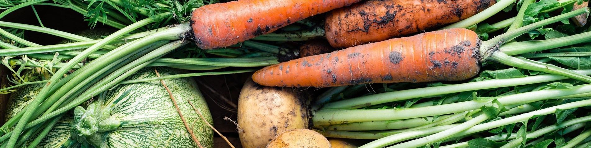 Vegetables stacked up.jpg