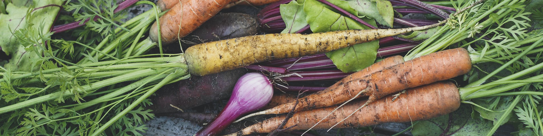 Vegetables laid across table.jpg