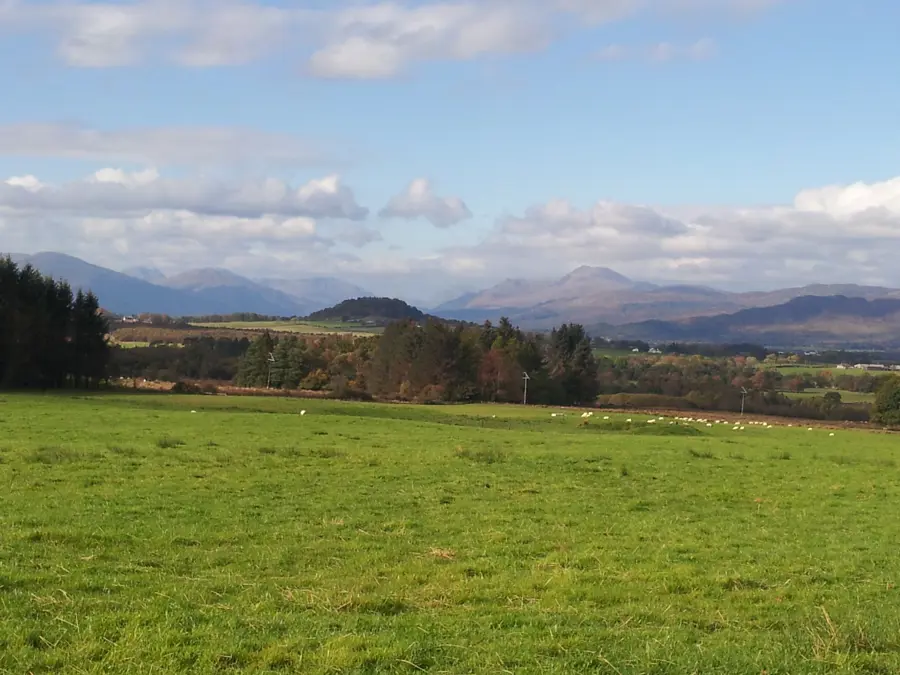 Green field with mountain range in background. 