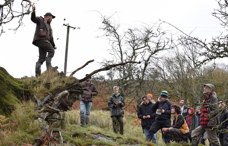agroforestry-network-wale