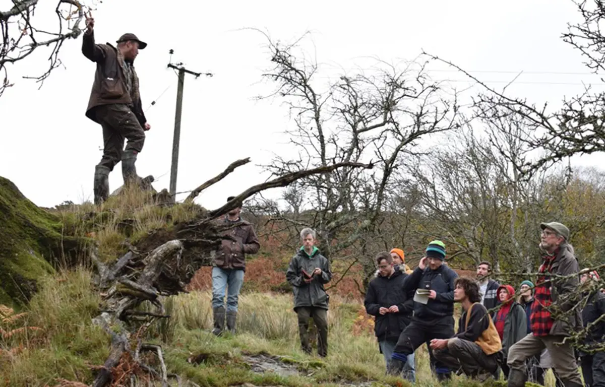 agroforestry-network-wale