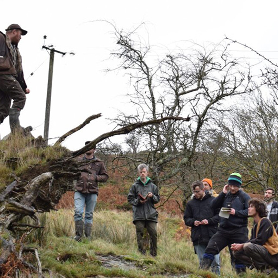 agroforestry-network-wale