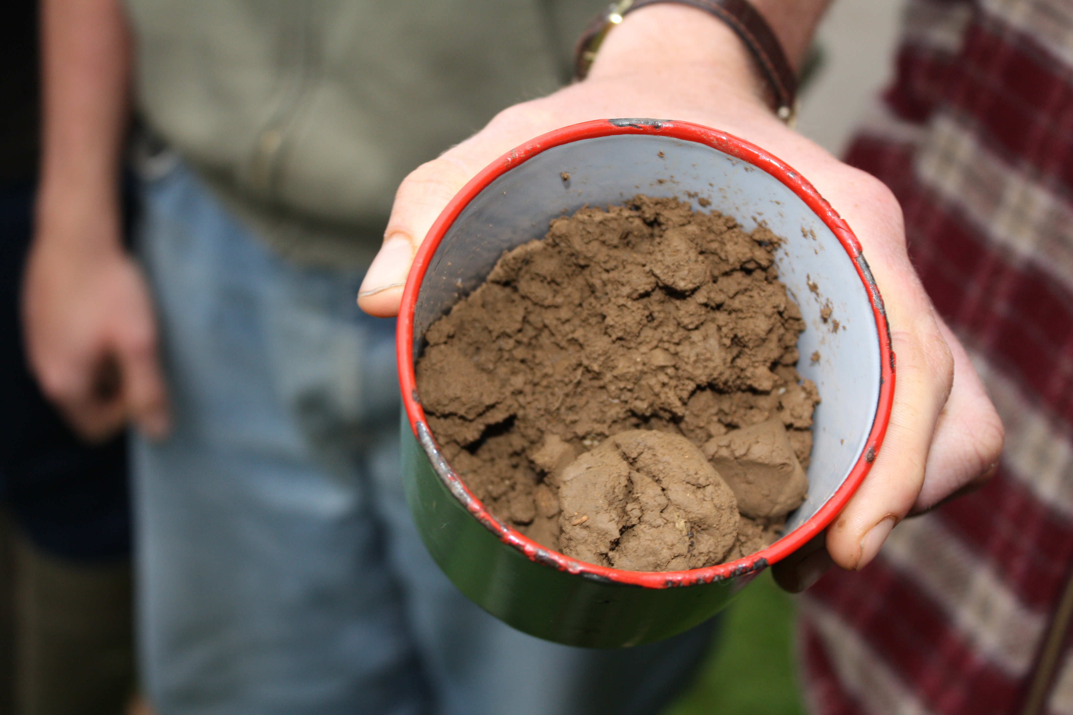 cup-of-soil